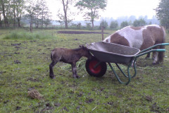 Thora-Mai-2007
